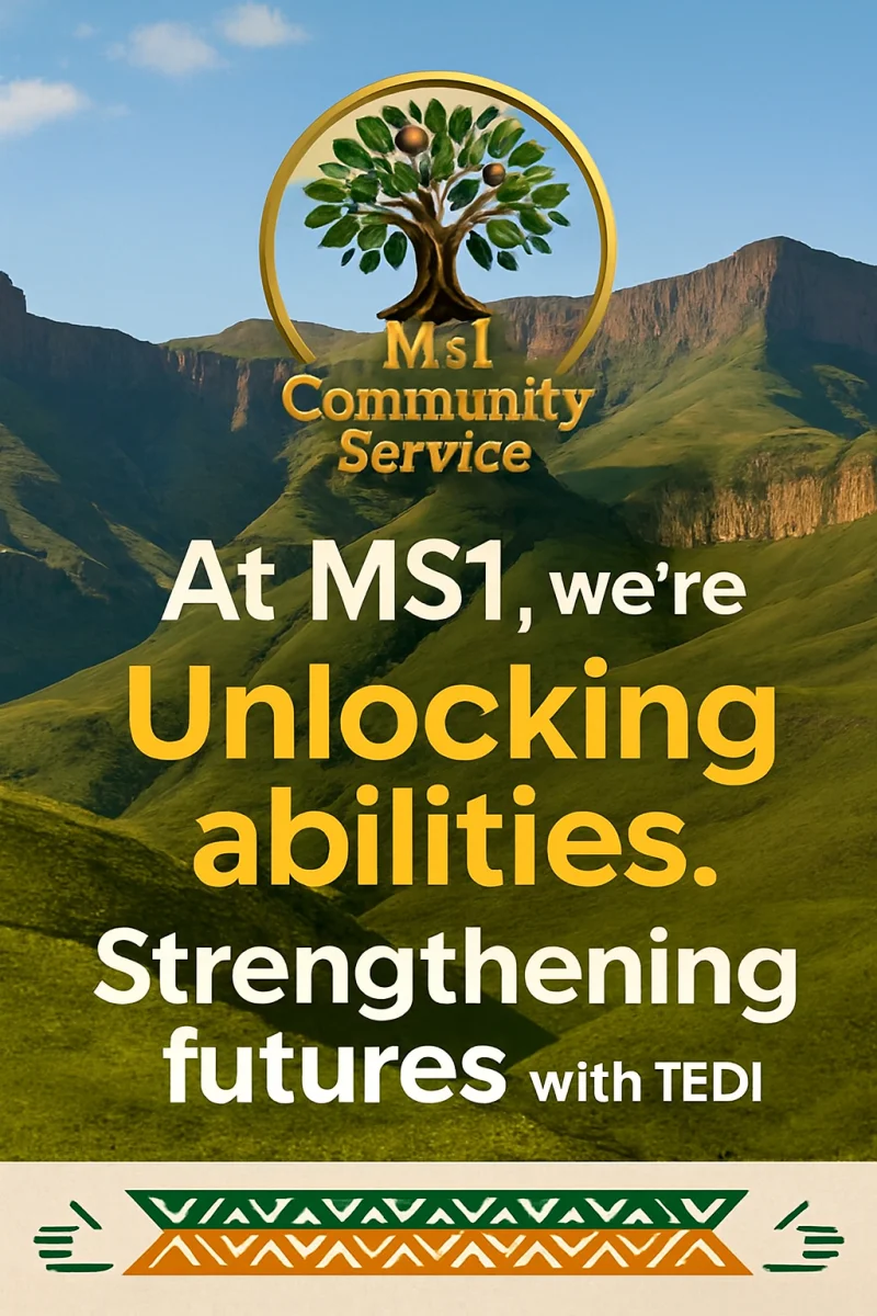 Ms1 Community Service Organization gallery image 9